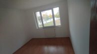 3-Raumwohnung mit Saaleblick - Bild