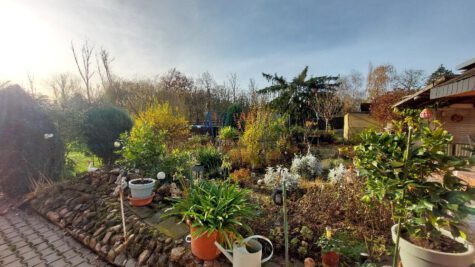 Wohnen und arbeiten an einem Ort!, 06429 Nienburg, Einfamilienhaus